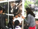 Presentan exposición fotográfica “Xochicalco animales y plantas” en Parque Chapultepec 