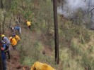 Atiende SDS cuatro incendios forestales