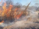 Capacita Mando Unificado de Incendios Forestales a brigadas de la zona sur