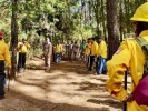 Participa CEECA en acciones preventivas contra incendios forestales en Cuernavaca