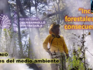 Exponen beneficios y afectaciones del fuego en incendios forestales