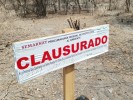 Clausuran tala clandestina y cambio de uso de suelo en Sierra Monte Negro