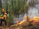 Incendio forestal paraje “La Canoa” de Cuernavaca