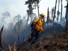 Comunicado de Prensa incendio forestal paraje “Loma Tenango”