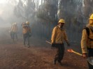 Comunicado de Prensa controlan incendio forestal paraje “Loma Tenango”