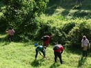Reforestan Gobierno, ciudadanos e iniciativa privada el Área Natural protegida “Río Cuautla”