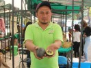 Realizan compras sustentables en el Mercadito Verde Morelos de Cuautla y Cuernavaca
