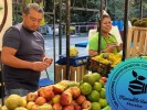 Invita SDS a la edición 130 del Mercadito Verde Morelos