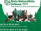 Invita Coesbio a participar en el Reto Naturalista Urbano 2024