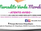 Por jornada electoral de 02 de junio se suspende el Mercadito Verde Morelos