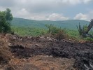 Disuade SDS delitos ambientales en Área Natural Protegida “Sierra Monte Negro”