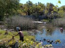 Invitan a celebrar Día Mundial de los Humedales en Parque Estatal El Texcal