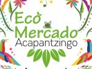 Realiza CCyTEM octava edición del Eco Mercado Acapantzingo para estimular el consumo local y sostenible