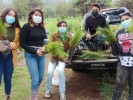 Reforestan con mil 500 pinos en Tlalnepantla