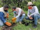 Con reforestación conmemoran el Día del Árbol en México
