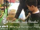 Se realizará la edición 127 del Mercadito Verde Morelos