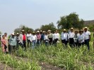 Conoce SDS parcela demostrativa agroecológica en Tlaltizapán