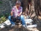 Inician producción de planta forestal en vivero del Parque Estatal “El Texcal”