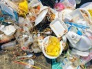 Emite Propaem recomendaciones a siete municipios para frenar los plásticos de un solo uso