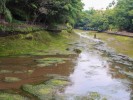 Anuncia SDS retiro de vegetación exótica y sedimentos en lago del Parque Chapultepec