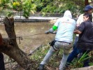 Podan árboles en el Parque Chapultepec para seguridad de todos