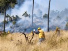 Llama SDS a prevenir incendios forestales