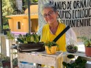 Responden clientes a convocatoria del Mercadito Verde Morelos