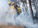 Comunicado de Prensa Incendios Forestales
