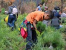 Con reforestación en Huitzilac, conmemora SDS el Día Mundial del Árbol