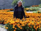 Invita Sedagro a visitar viveros de Tetela del Monte para adquirir flores de “Día de Muertos”