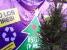 Invitan ciudadanos a participar en donación de árboles navideños