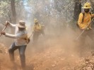 Reporte de incendios forestales activos en Morelos