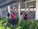 Suman jardines para polinizadores en Morelos 