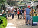 Invitan a consumir sustentable en el Mercadito Verde Morelos